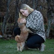 15114 Persgärde tröja