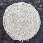 1740 Seat cushion with loops