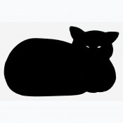 Liggande katt