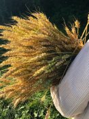Wheat Warmer - Natur