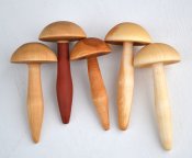 Mushroom darner