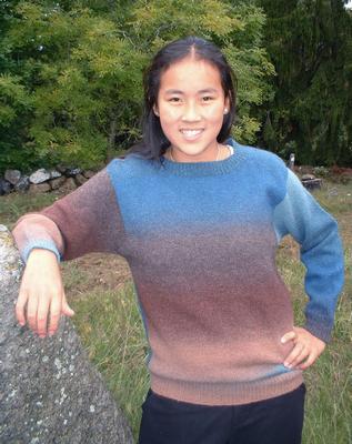 1501 Sweater plain in 2-ply
